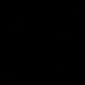 Meet your Posher, Bobby